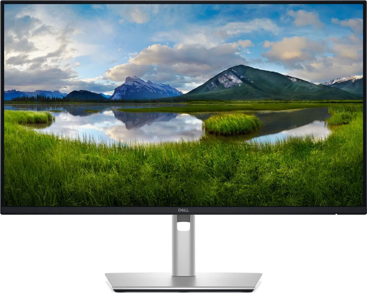 Dell Pro Plus P2425de - LeD-Monitor - 61 Cm (24")
