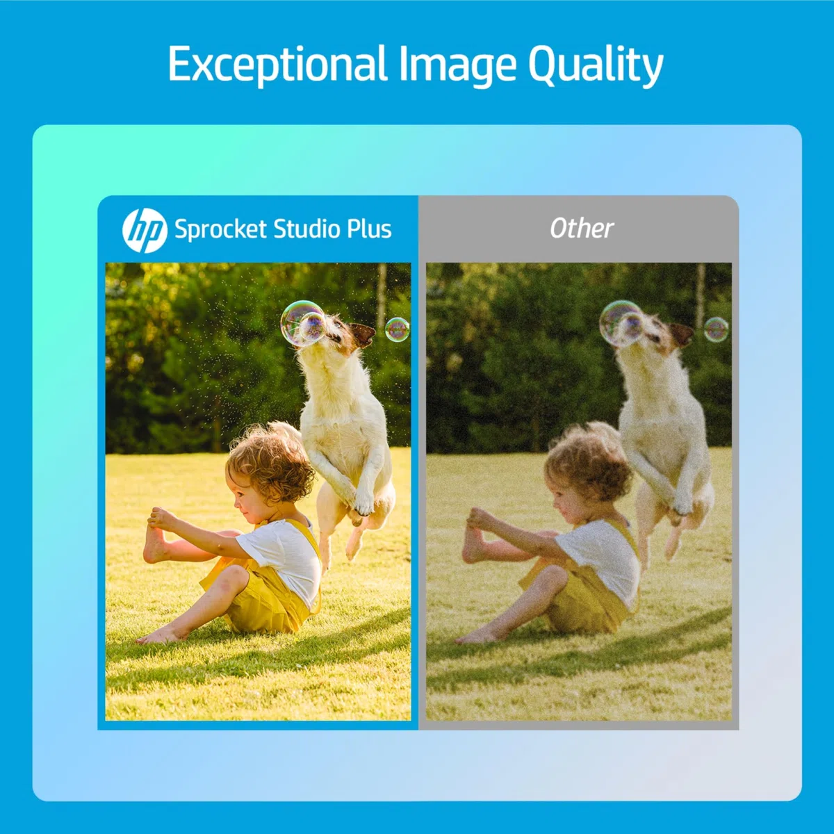 HP Sprocket Studio Plus 4x6 Stampante Foto – 118 Fogli & Cartuccia - Wi-Fi, Sublimazione, App