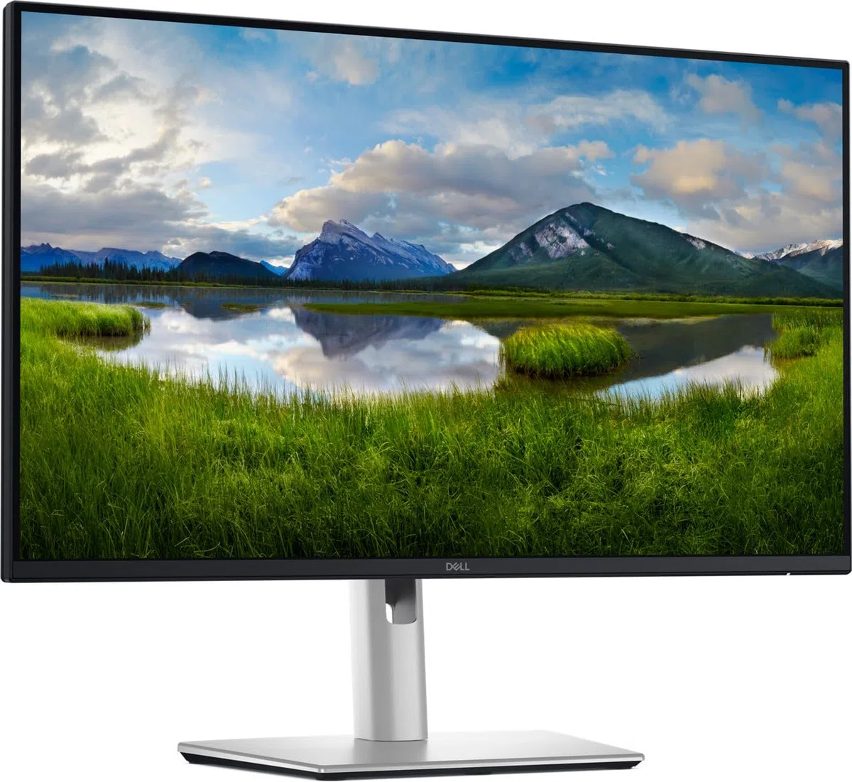 Dell Pro Plus P2425de - LeD-Monitor - 61 Cm (24")